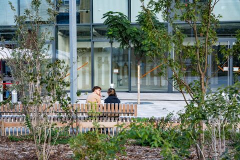 Les aménagements de la place Béraudier : mobilier, ilots plantés