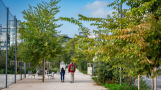 Deux personnes marchant dans un parc arboré.