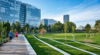 Parc urbain avec immeubles en arrière-plan.