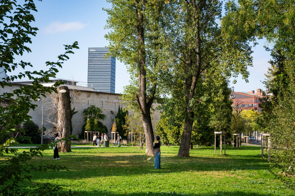Parc urbain avec arbres et bâtiments.