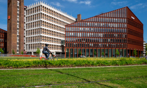 Prairie Fleurie rue Flandin