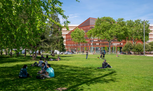 1350559©guillaume Bruge