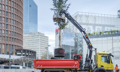 SPL Plantation D'arbres Avec Les Enfants De La Maison Des Rancy.