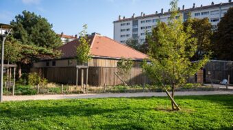 Parc végétalisé, arbres et pelouses verdoyantes, bâtiment en bois