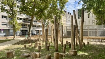 Jeux en rondins dans parc urbain ombragé.