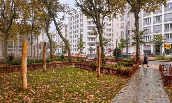 Parc urbain en automne avec bâtiments en arrière-plan.